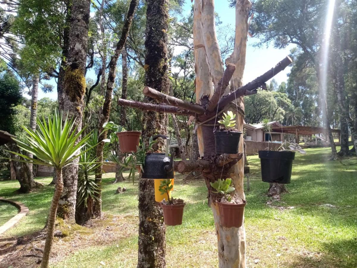 Cabana Romance - Recanto Da Natureza Canela Exterior photo