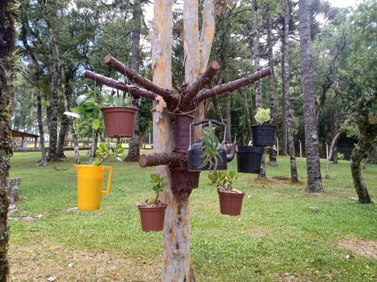 Cabana Romance - Recanto Da Natureza Canela Exterior photo